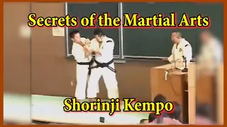 Secrets of the Martial Arts. Shorinji Kempo. Sensei Arai Tsunehiro. 新井先生, 少林寺拳法.