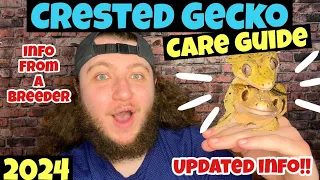 2024 CRESTED GECKO Care Guide! COMPLETE guide you HAVE to know!(Correlophus Ciliatus)