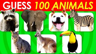 How Many Animals Can You Guess Out of 100? | Animal Quiz