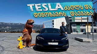 Tesla-ს ავტოპილოტის ტესტი, როგორ მუშაობს საქართველოში, დაეჯახება ადამიანს?