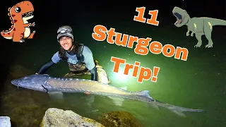 Two Nights of Sturgeon Fishing the Snake River