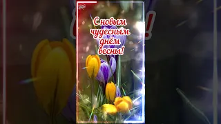 Доброе утро, Весна! 🌷🪻С Добрым весенним Утречком! 🌺 Любви, Счастья и Добра! 🌼 #shorts