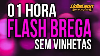 01 HORA DE FLASH BREGA SAUDADE - SEQUÊNCIA SEM VINHETAS PRA VOCÊ RECORDAR