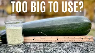 Our Zucchinis Grew TOO BIG So We Did This