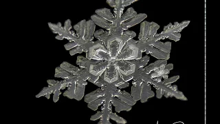 Part 1: Introduction to Snowflake Photography