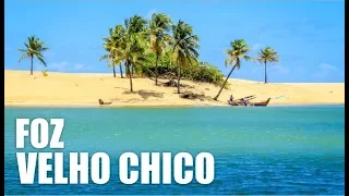 O QUE FAZER MACEIÓ - FOZ DO RIO SÃO FRANCISCO