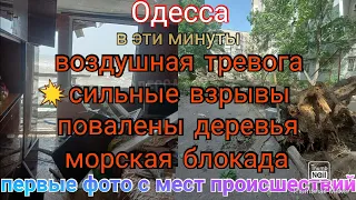 Одесса. Тревога. Сильно💥громко. Валит деревья. Морская блокада. Фото с места