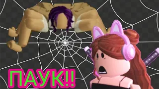 Даша стала пауком!!! Новая страшилка в роблокс. Roblox Spider.