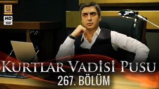 Kurtlar Vadisi Pusu 267. Bölüm