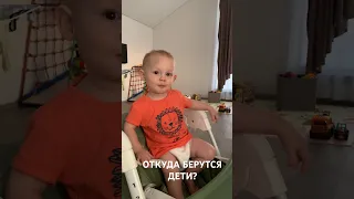 ОТКУДА БЕРУТСЯ ДЕТИ?