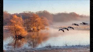 Последний штрих осени (звуки саксофона)-муз.и исп.Александр Сумин