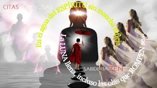 Grandes Citas de los MAESTROS ZEN que ILUMINARAN tu Camino y Cambiaran tu VIDA | Frases Celebres