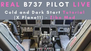 Zibo Mod | Real B737 Pilot | Cold and Dark Start Live Tutorial