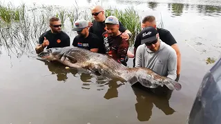 Kilka ujęć ryb złowionych na Catfish Cup Poland 2021.