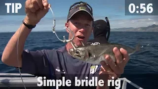 SIMPLE BRIDLE RIG