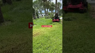 Lawn Mowing 1 - Overgrown & Thick