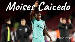 Moises Caicedo - Chelsea, football