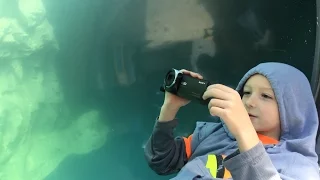 Mystic Aquarium Spring Break 18April2017 with Luke Stout