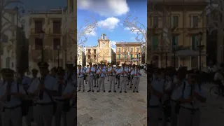 Marcia caratteristica "Brunetta" di L. Ingo - Banda di Conversano "Piantoni"