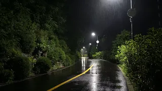 Звук сильного дождя посреди ночи на парковой дороге
