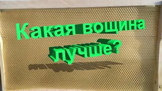 Профессор Кашковский: вощина лучше литая или катаная?