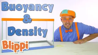 Blippi's Sink or Float Challenge | Learn about Buoyancy | Learn With Blippi | Moonbug Kids