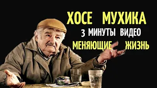 Хосе Мухика / 3 минуты   видео меняющие  жизнь