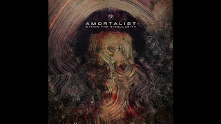 Amortalist & Airi - Facing The Unknown