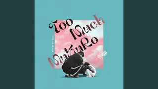 Too Much (Remix)