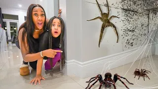 There's a TARANTULA in OUR HOUSE 🕷️