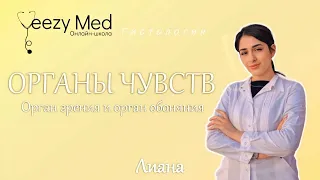 Гистология. Органы чувств. Органы зрения и обоняния.