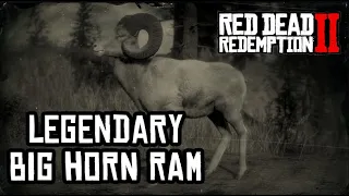 Red Dead Redemption 2 Legendary Big Horn Ram Location and Hunting. Легендарный баран
