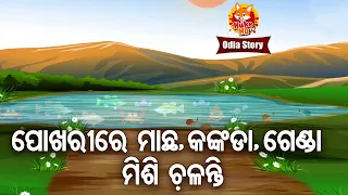 Pokhari Re Machha,Kankada Genda Misi Chalanti  ପୋଖରୀ ସବୁ ମିଶି ଚଳୁଥିଲେ |Odia Moral Story | Huke Hu TV