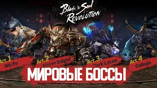 Мировые боссы в Blade & Soul Revolution. Обновление 28 мая.