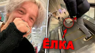 парадеевич, жожо и плохой парень обижают елку кореша.. (эксайл не обижает)