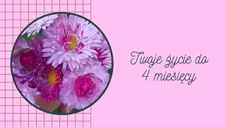 🌺TWOJE ŻYCIE DO 4 MIESIĘCY🌺OBIEKT WYBORU🌺 czas w komentarzu