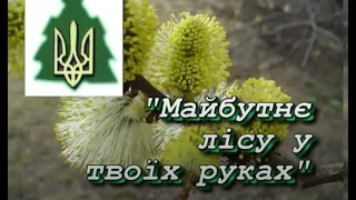 Зелений світ.  Майбутнє лісу в твоїх руках. Білі Ослави.2006.