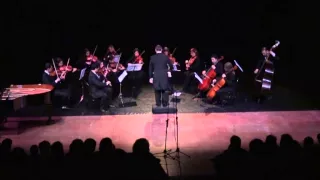 ENSEMBLE STRUMENTALE di ROMA