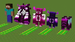 Which of the All Warden Storm Mobs Bosses and Herobrine will generate the most XP Sculk ?