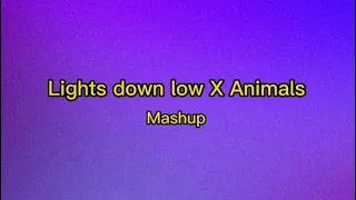 (Mashup TikTok) Lights Down low / Animals