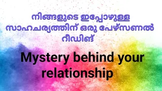 ♦️✨നിങ്ങളുടെ ഇപ്പോഴുള്ള സാഹചര്യത്തിന് ഒരു പേഴ്‌സണൽ റീഡിങ് 🌹Mystery in your relationship