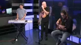 Fields of Grey - ynet live (2015-08-15)