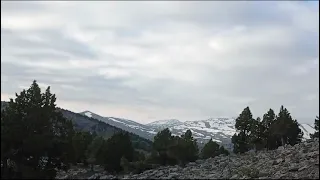 Bunlar bir kupay harikasi Sezonu sabırsızlık la beklemekteyiz.