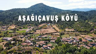 Çileği ve doğası ile meşhur köy: Aşağıçavuş Köyü