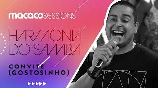 Macaco Sessions: Harmonia do Samba - Convite (Gostosinho)