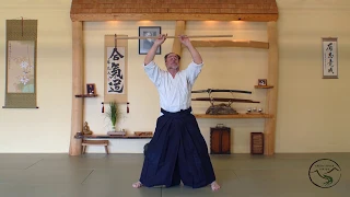 Solo practice: Aikido basic jo exercises and strikes
