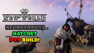 New World Hatchet/Blunderbuss PvP Build!