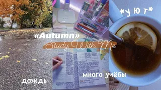 ОСЕННИЙ Учись Со Мной №8 | Подготовка к контрольным работам | Autumn Study With Me | Мотивация