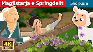 Magjistarja e Springdelit | The Witch Of Springdale Story | Perralla Shqip @AlbanianFairyTales