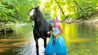 Gypsy Vänner Horses, Unicorn Meditation, The Pony Show, Equine Therapy Horses